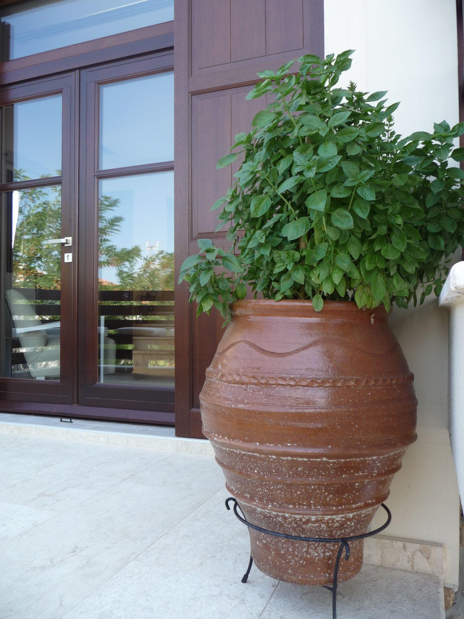 Helianthus Guesthouse อาโมเลียนี ภายนอก รูปภาพ