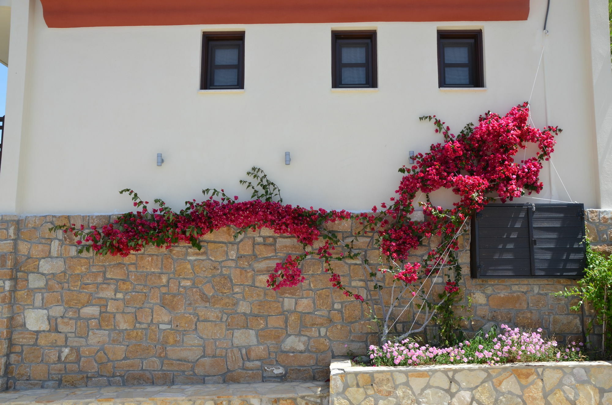 Helianthus Guesthouse อาโมเลียนี ภายนอก รูปภาพ